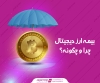 بیمه ارز دیجیتال؛ چرا وچگونه؟